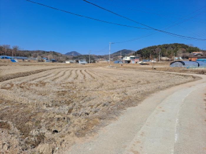 2025타경50968 법원경매 사진27 | 충남 당진시 답 경매