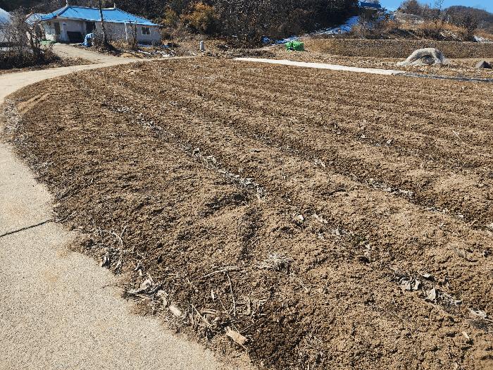 2025타경50968 법원경매 사진3 | 충남 당진시 답 경매