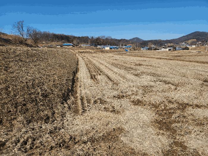 2025타경50968 법원경매 사진7 | 충남 당진시 답 경매