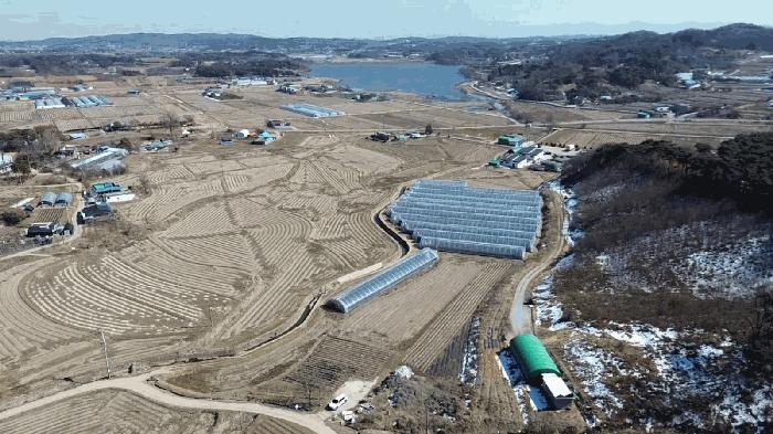 2025타경50968 법원경매 사진9 | 충남 당진시 답 경매