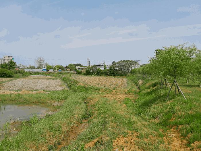 충청남도 당진시 송악읍 고대리 133-2 법원경매 물건 대표사진
