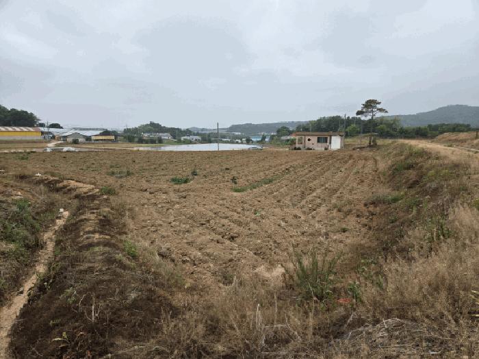 충청남도 당진시 합덕읍 소소리 1-28 법원경매 물건 대표사진