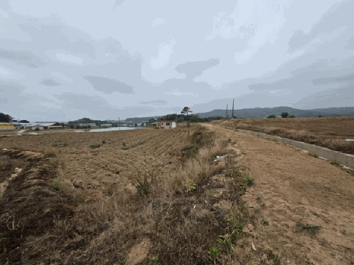2025타경51253 법원경매 사진4 | 충남 당진시 전 경매