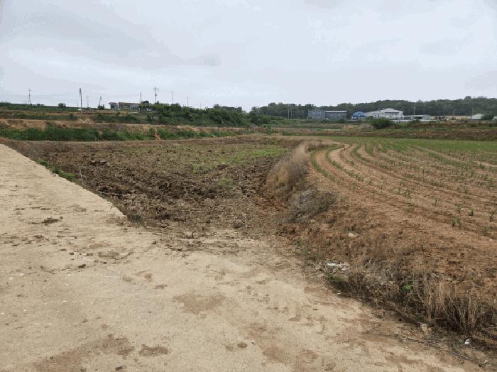 2025타경51253 법원경매 사진6 | 충남 당진시 전 경매