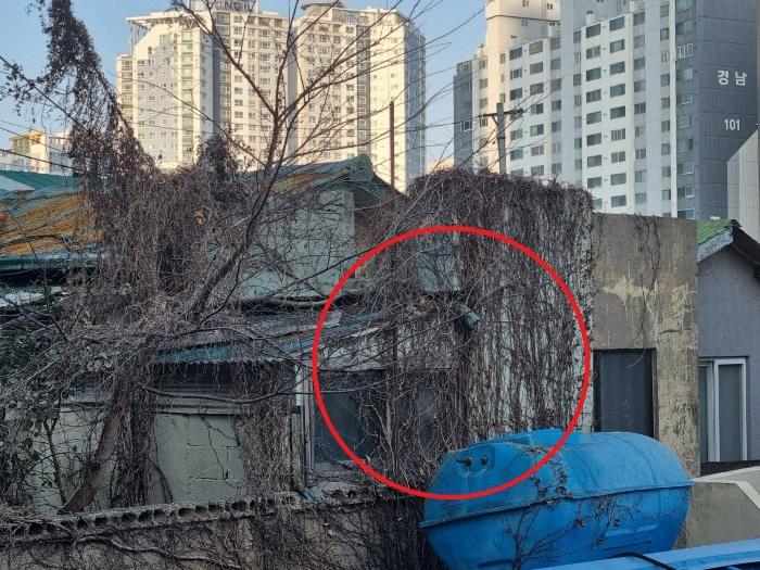 법원경매 2023타경6771 사진4 | 부산 부산진구 범천동 1291-59 주택건물 경매