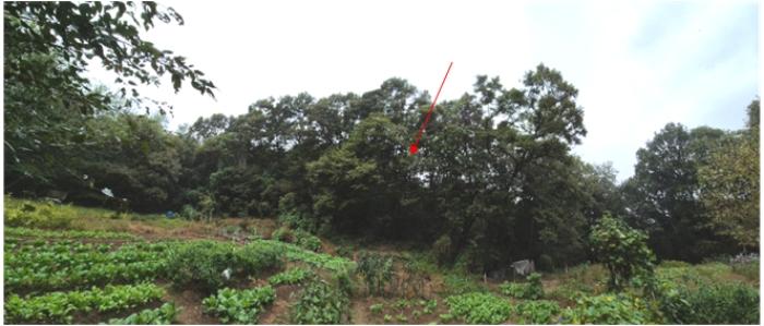 경기도 과천시 갈현동 산126-2 법원경매 물건 대표사진