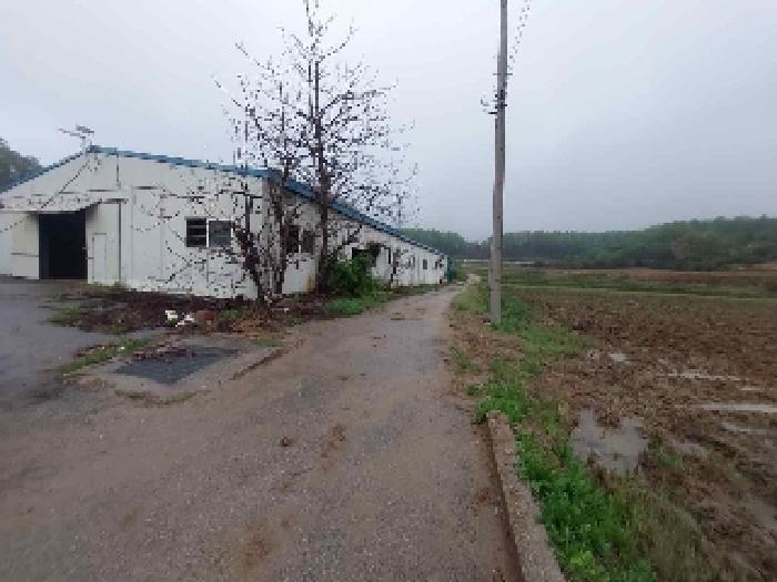 2025타경11563 법원경매 사진35 | 충남 아산시 공장 경매