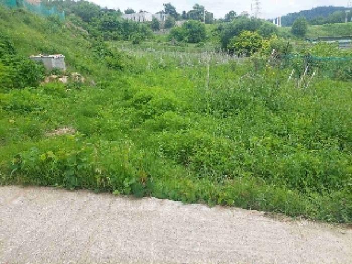 2025타경11686 법원경매 사진12 | 충남 아산시 전 경매