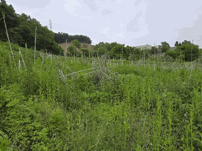 2025타경11686 법원경매 사진2 | 충남 아산시 전 경매