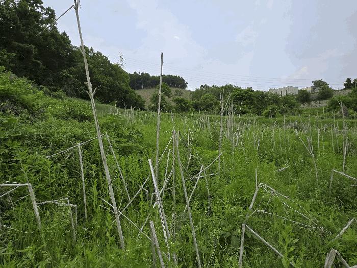 2025타경11686 법원경매 사진5 | 충남 아산시 전 경매