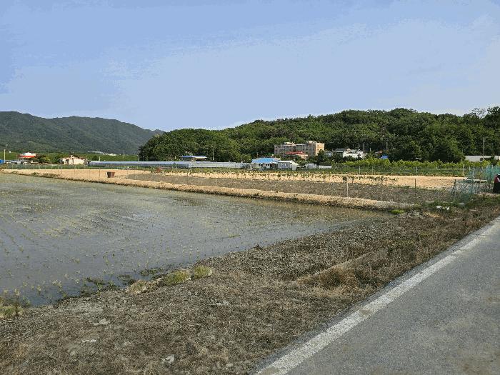 2025타경11791 법원경매 사진3 | 천안 서북구 과수원 경매