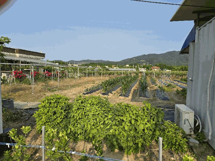 2025타경11791 법원경매 사진9 | 천안 서북구 과수원 경매