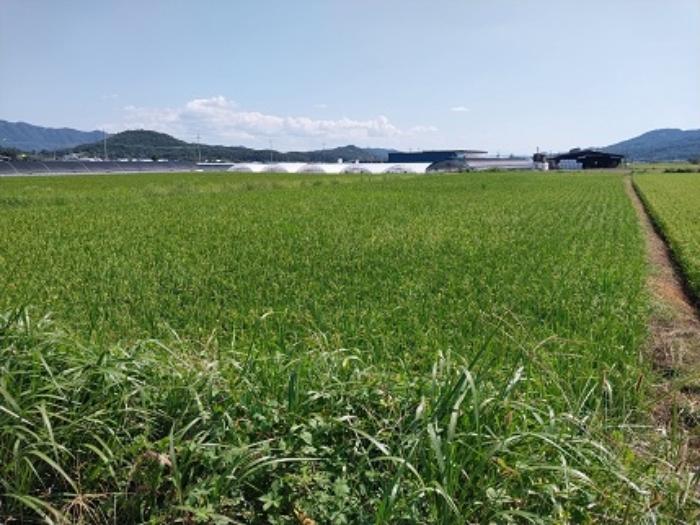 2024타경1059 법원경매 사진6 | 충남 공주시 답 경매