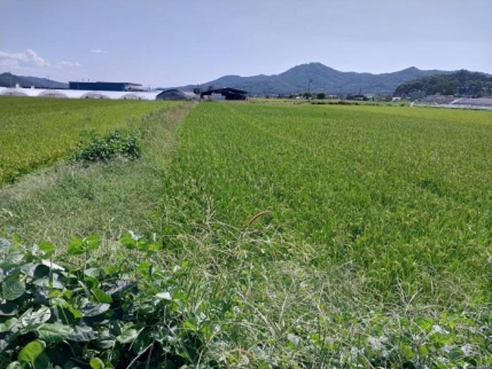 2024타경1059 법원경매 사진7 | 충남 공주시 답 경매
