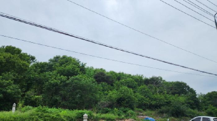 2025타경906 법원경매 사진16 | 울산 울주군 임야 경매