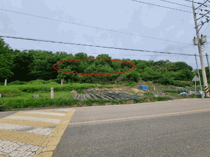 2025타경906 법원경매 사진10 | 울산 울주군 임야 경매