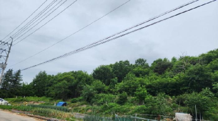 2025타경906 법원경매 사진17 | 울산 울주군 임야 경매