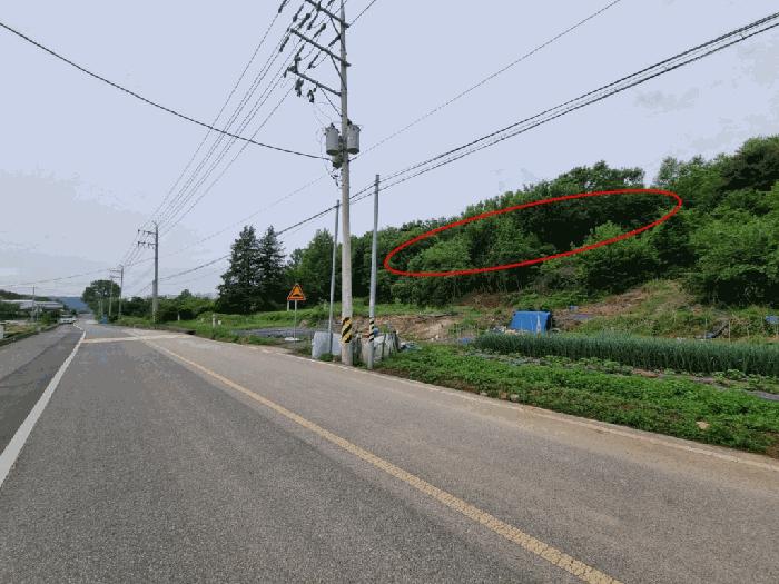 2025타경906 법원경매 사진5 | 울산 울주군 임야 경매