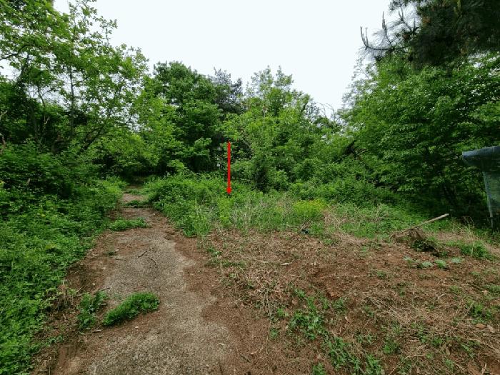 2025타경906 법원경매 사진8 | 울산 울주군 임야 경매
