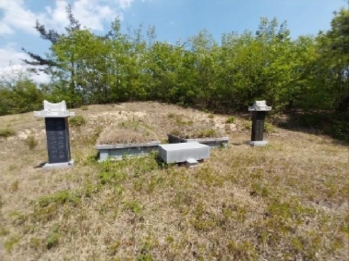 2025타경27 법원경매 사진27 | 충남 공주시 임야 경매