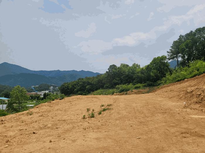충청남도 공주시 반포면 봉곡리 산12-12 법원경매 물건 대표사진