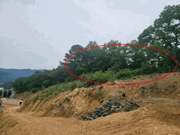 2025타경58 법원경매 사진12 | 충남 공주시 임야 경매