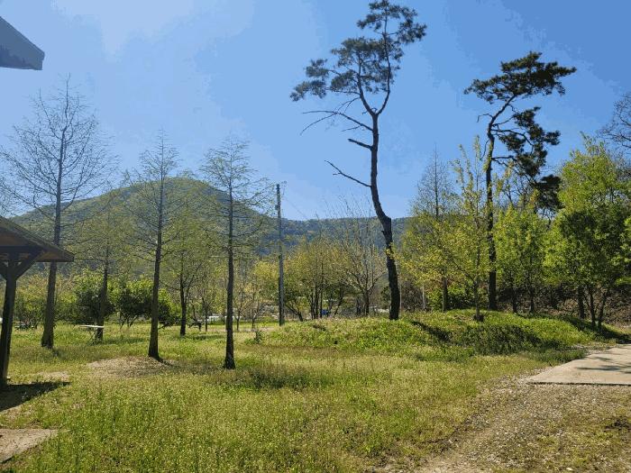 2025타경20246 법원경매 사진5 | 충남 공주시 펜션(캠핑장) 경매