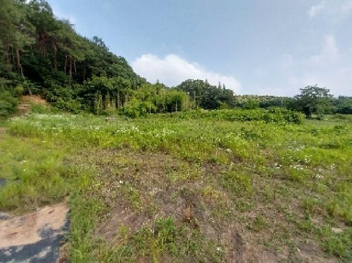 2025타경20258 법원경매 사진13 | 충남 청양군 전 경매
