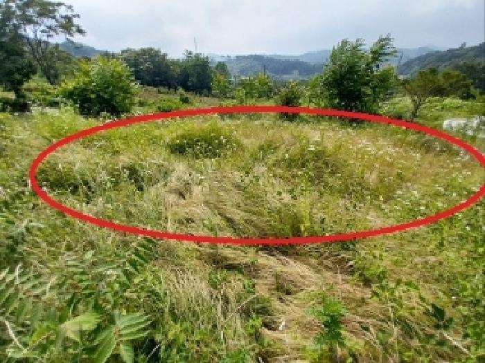 2025타경20258 법원경매 사진20 | 충남 청양군 전 경매
