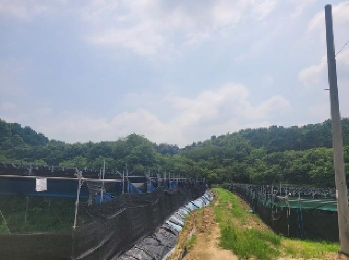 2025타경20275 법원경매 사진5 | 충남 공주시 임야 경매