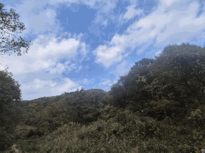 경상북도 고령군 덕곡면 옥계리 산3 법원경매 물건 대표사진