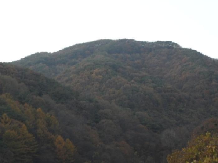 법원경매 2025타경31961 사진5 | 고령군 덕곡면 옥계리 임야 경매