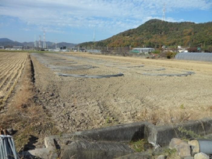 법원경매 2025타경32001 사진4 | 대구 달성군 논공읍 상리 1401 답 경매