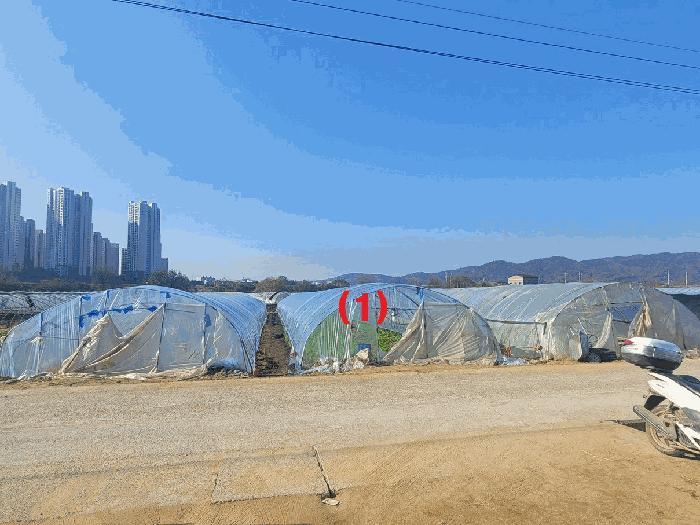 법원경매 2025타경32021 사진8 | 대구 달성군 다사읍 박곡리 360 답 경매
