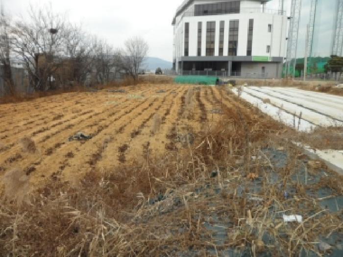 법원경매 2025타경32036 사진6 | 대구 달성군 논공읍 금포리 993 답 경매
