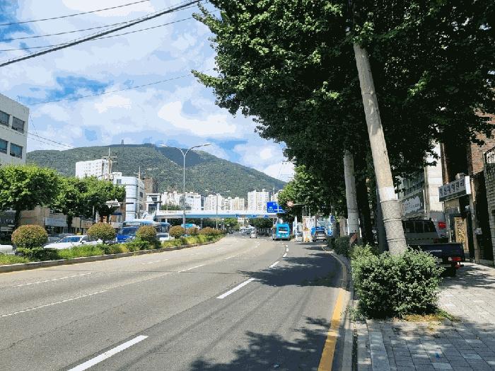 법원경매 2025타경101807 사진2 | 부산 서구 동대신동3가 432-11 단독주택 경매