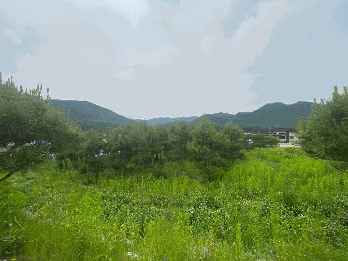 강원특별자치도 평창군 평창읍 도돈리 19-10 법원경매 물건 대표사진
