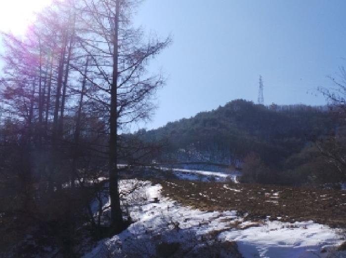 법원경매 2025타경30241 사진2 | 평창군 대관령면 횡계리 243-1 전 경매