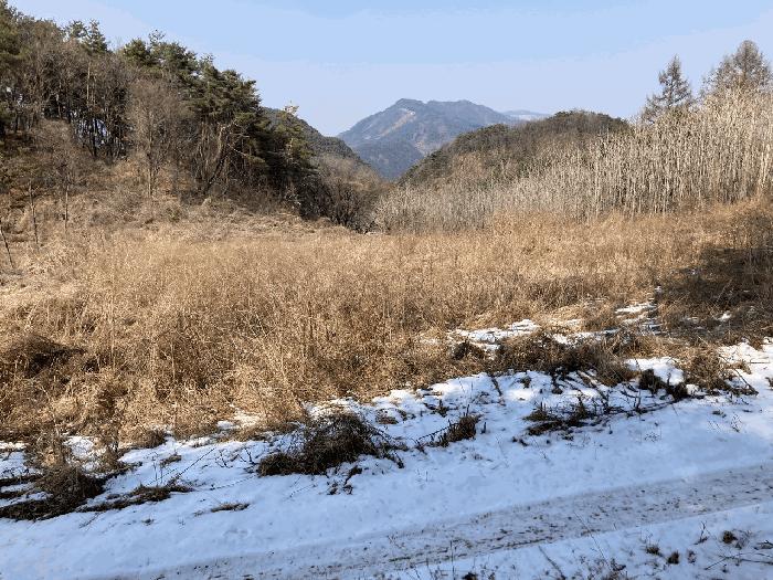 강원특별자치도 평창군 평창읍 종부리 8 법원경매 물건 대표사진