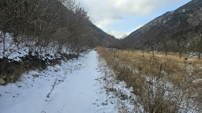 충청북도 옥천군 군서면 금산리 1 법원경매 물건 대표사진