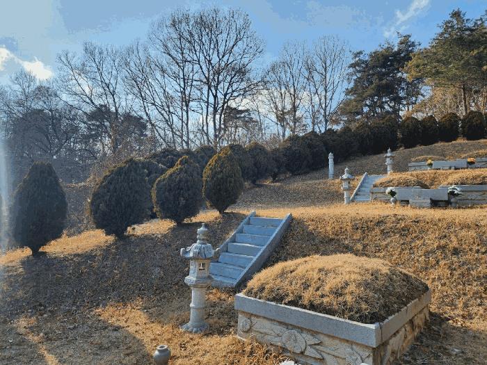 2025타경10104 법원경매 사진2 | 충북 옥천군 임야 경매
