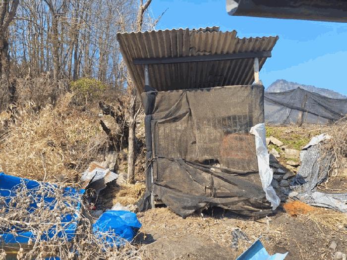 충청북도 옥천군 청산면 백운리 286 법원경매 물건 대표사진