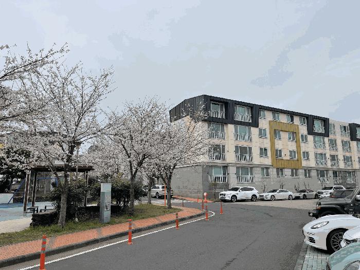 2025타경1078 법원경매 사진2 | 제주 서귀포시 다세대주택 경매