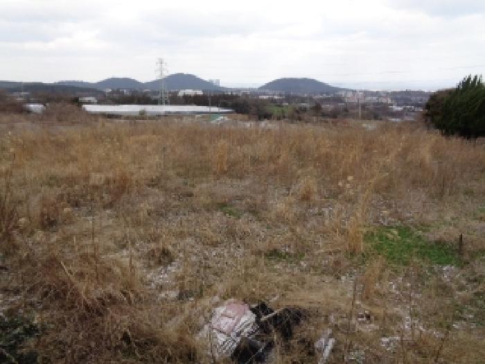 2025타경7645 법원경매 사진16 | 제주 제주시 전 경매