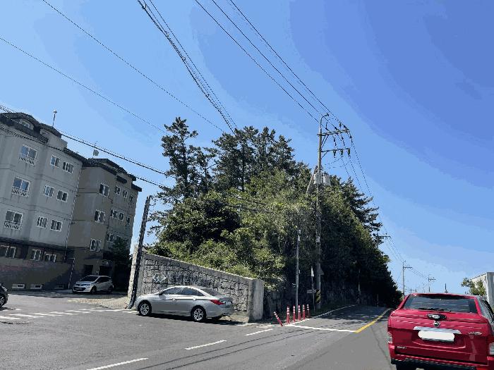 2025타경1188 법원경매 사진4 | 제주 제주시 임야 경매