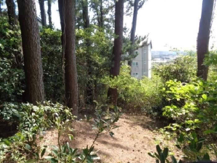 2025타경1188 법원경매 사진7 | 제주 제주시 임야 경매