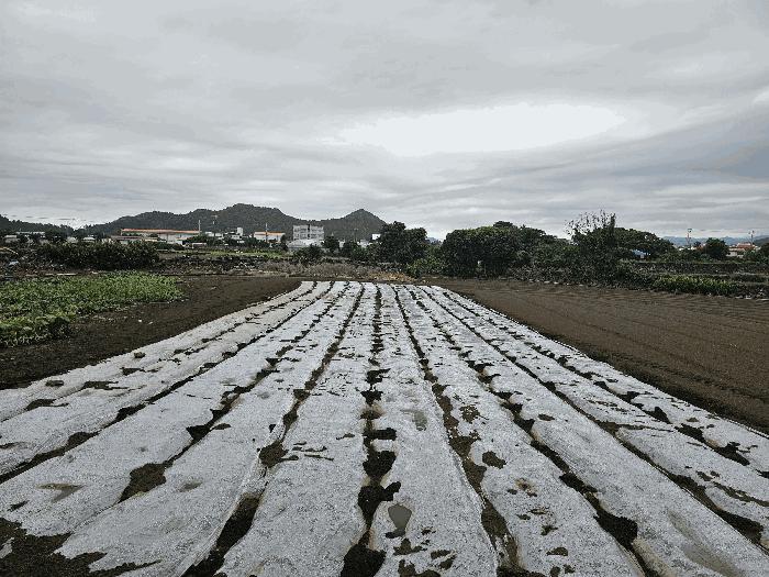 2025타경1477 법원경매 사진6 | 제주 서귀포시 대지 경매