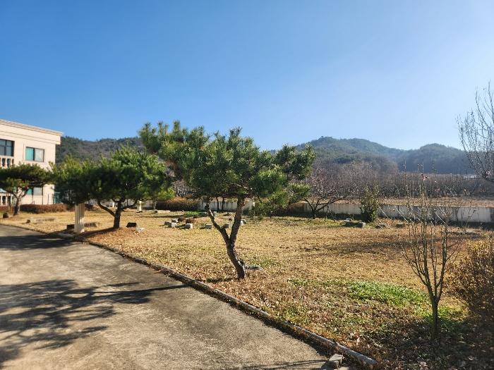 법원경매 2024타경1950 사진3 | 상주시 낙동면 물량리 1026-5 주택건물 경매