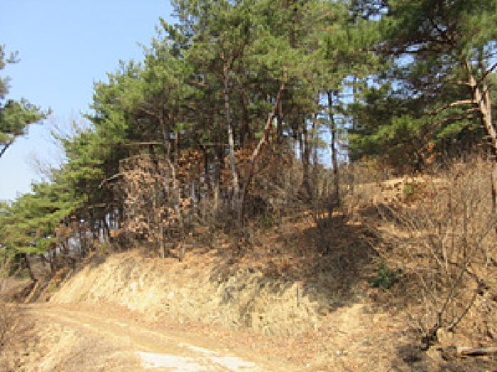 법원경매 2025타경127 사진17 | 예천군 보문면 간방리 774-2 답 경매