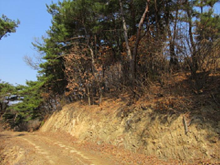 법원경매 2025타경127 사진19 | 예천군 보문면 간방리 774-2 답 경매